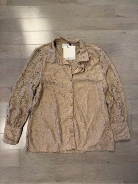 Alex & Parker Taupe Lace Button-Up Blouse